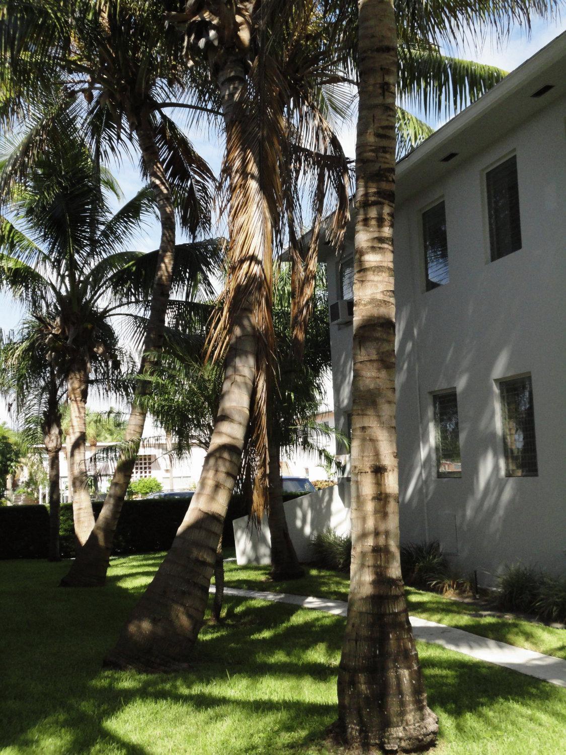 Summerland Suites Fort Lauderdale Zewnętrze zdjęcie